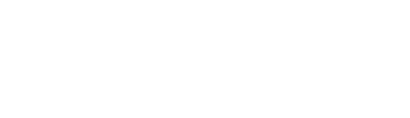 ICON INNOVATION